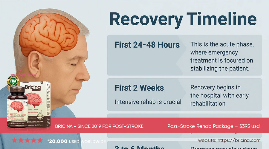  Stroke Recovery Timeline: in the first 3 to 6 months